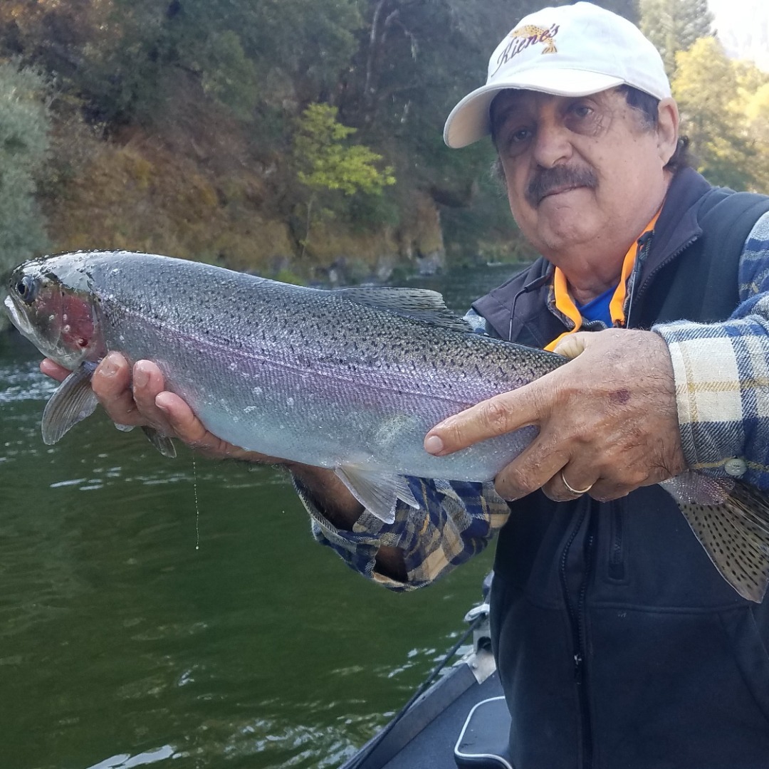 Steelhead Fishing is Good