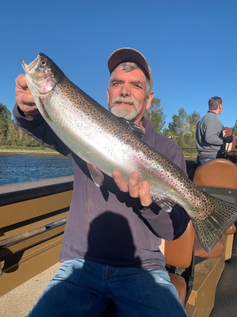 Sacramento River Steelhead Fishing 