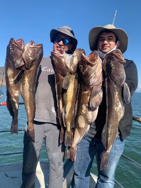 Wide Open Lingcod & Rockfish Bite