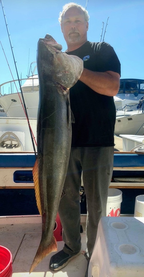 Gigantic 4 Foot White Seabass Caught from Shore!