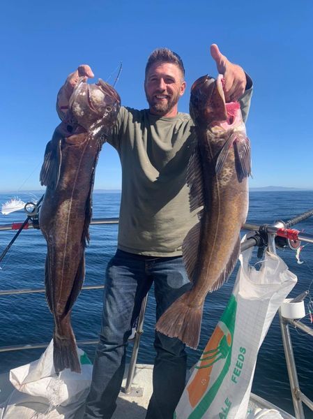 Epic Lingcod Fishing at The Farallon Islands Today