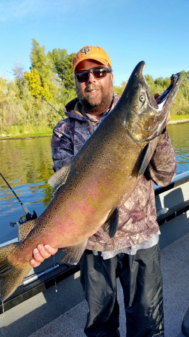 Big Kings and some steelhead too!