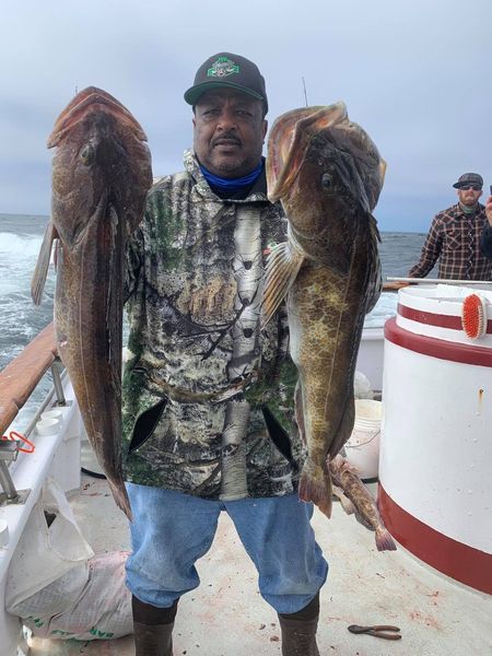 Lingcod Bite Has Been Insane!