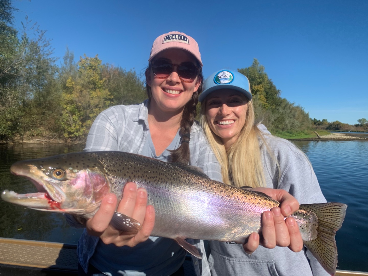 Sacramento River Steelhead Fishing 