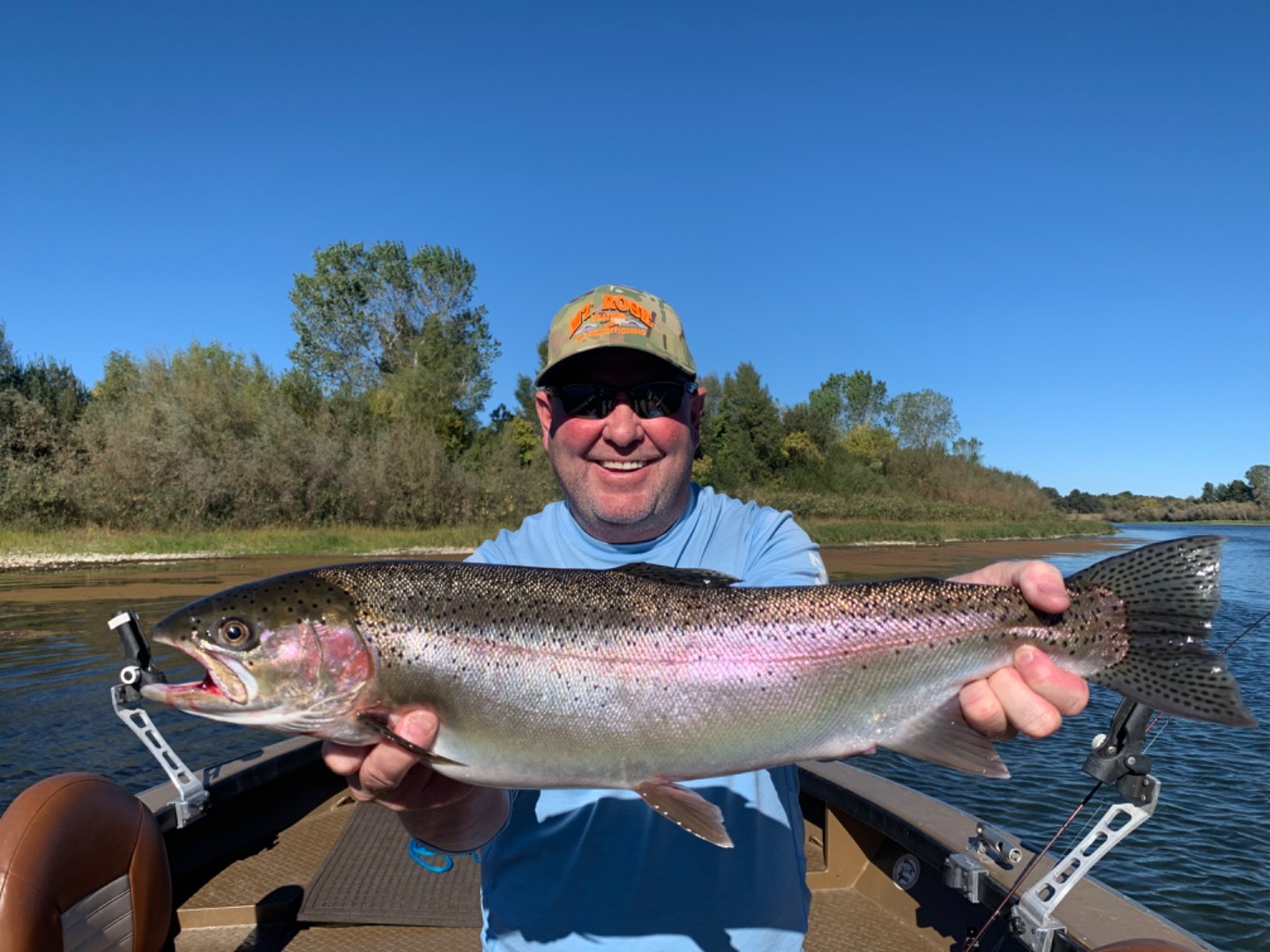 Steelhead On the Sacramento River