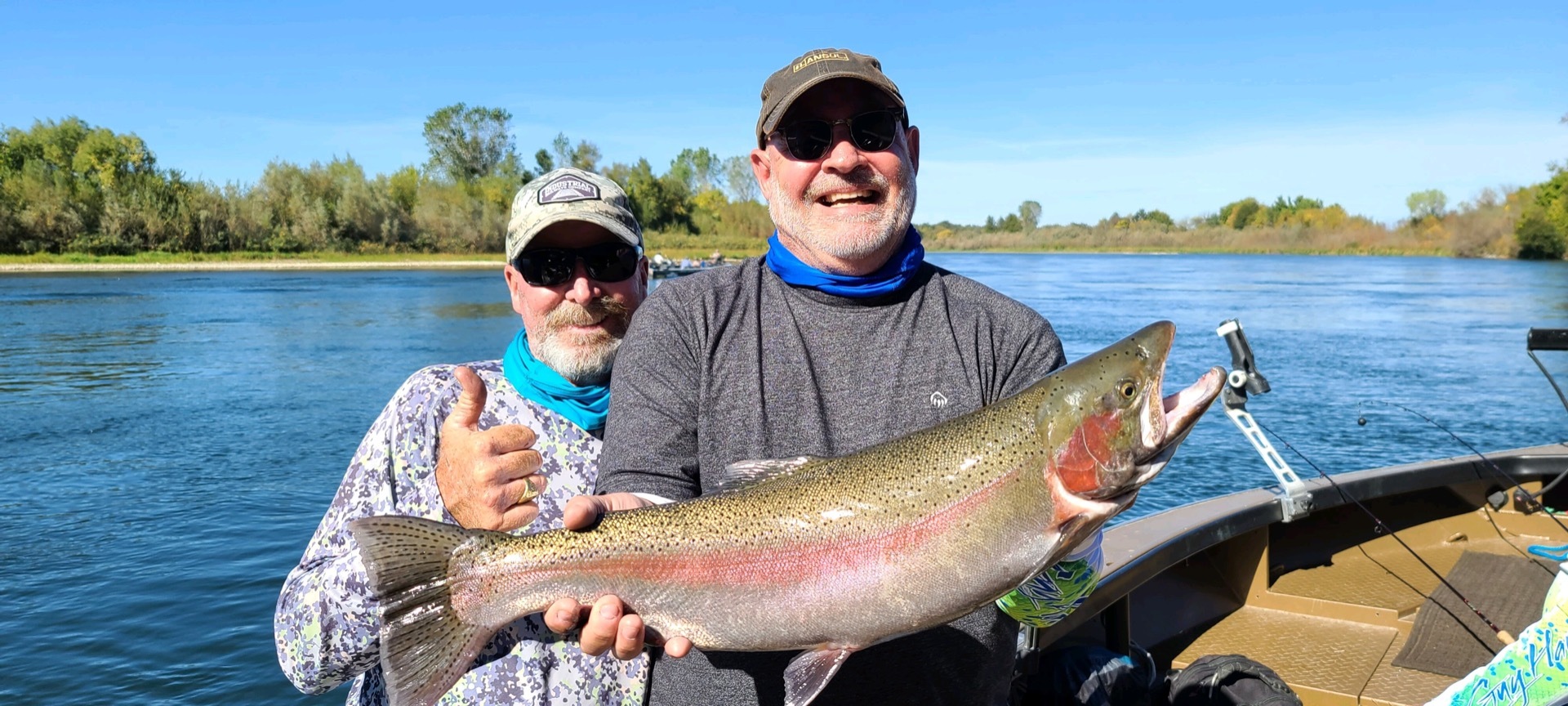 Giant Sacramento River Steelhead 