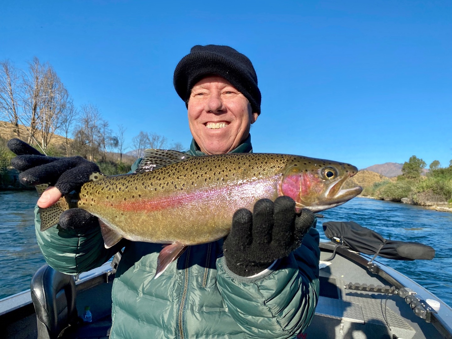 Epic wild rainbow trout fishing!