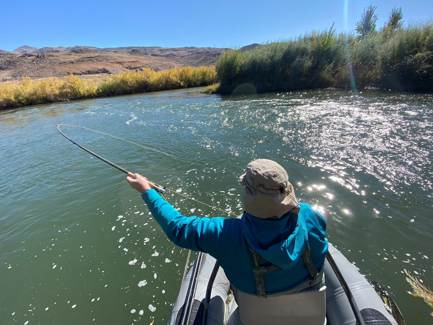 Truckee River Fish Report