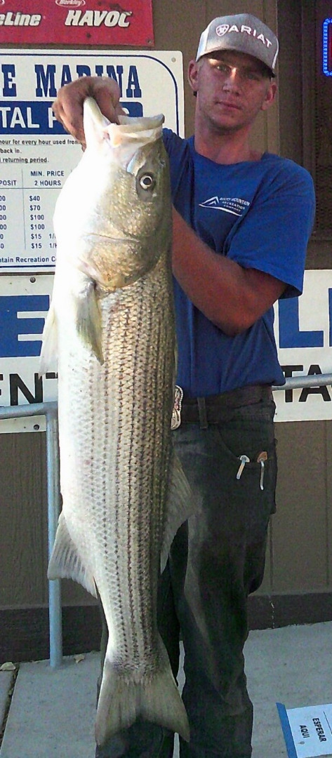 20# Striped Bass at Lake Del Valle