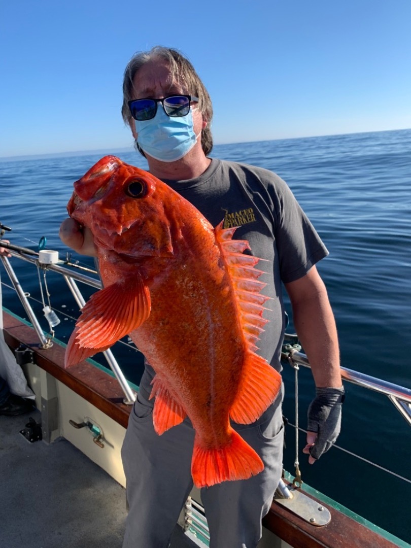 Limits of Jumbo rockfish!!