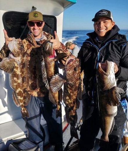 Lingcod Chowed Down on Swimbaits Today