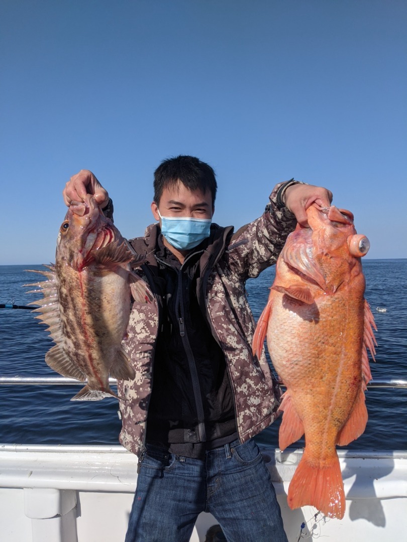 MONSTER HALIBUT !!! CAUGHT IN VENTURA CA – Blacktail Livebait Hooks