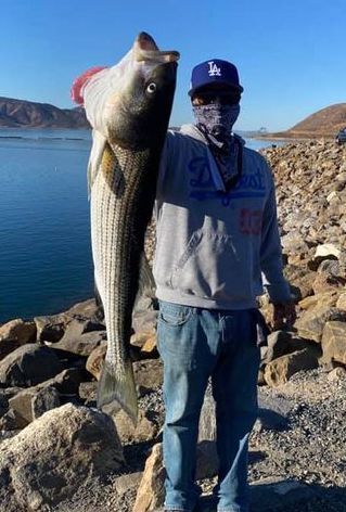 Diamond Valley Lake Fish Report - Hemet, CA (Riverside County)