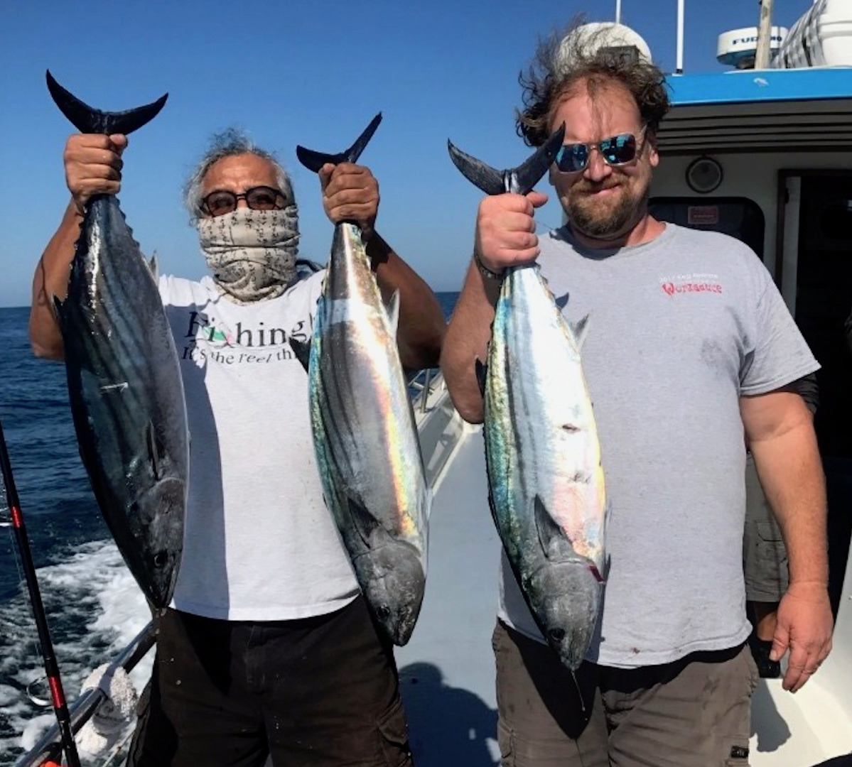 Bonito Action This Week on The Kahuna 