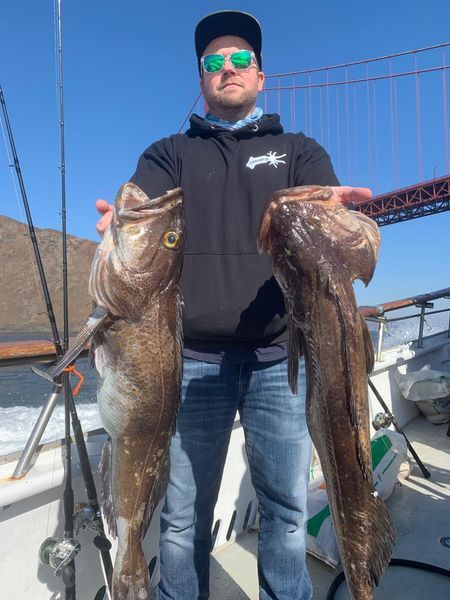 Wide Open Fishing From The Farallon Islands Today!