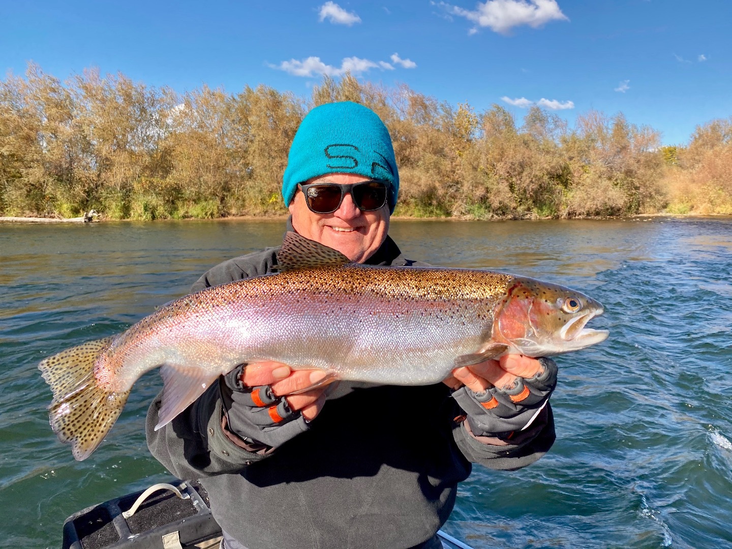 Sacramento River steelhead fishing!