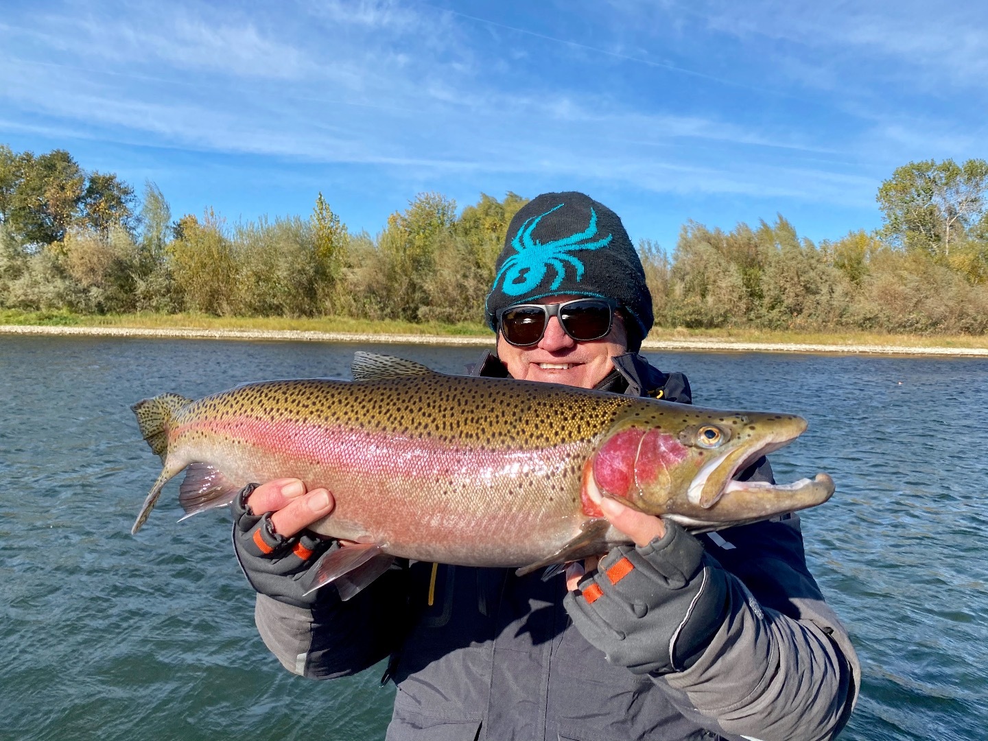 Good Sac steelhead fishing continues!