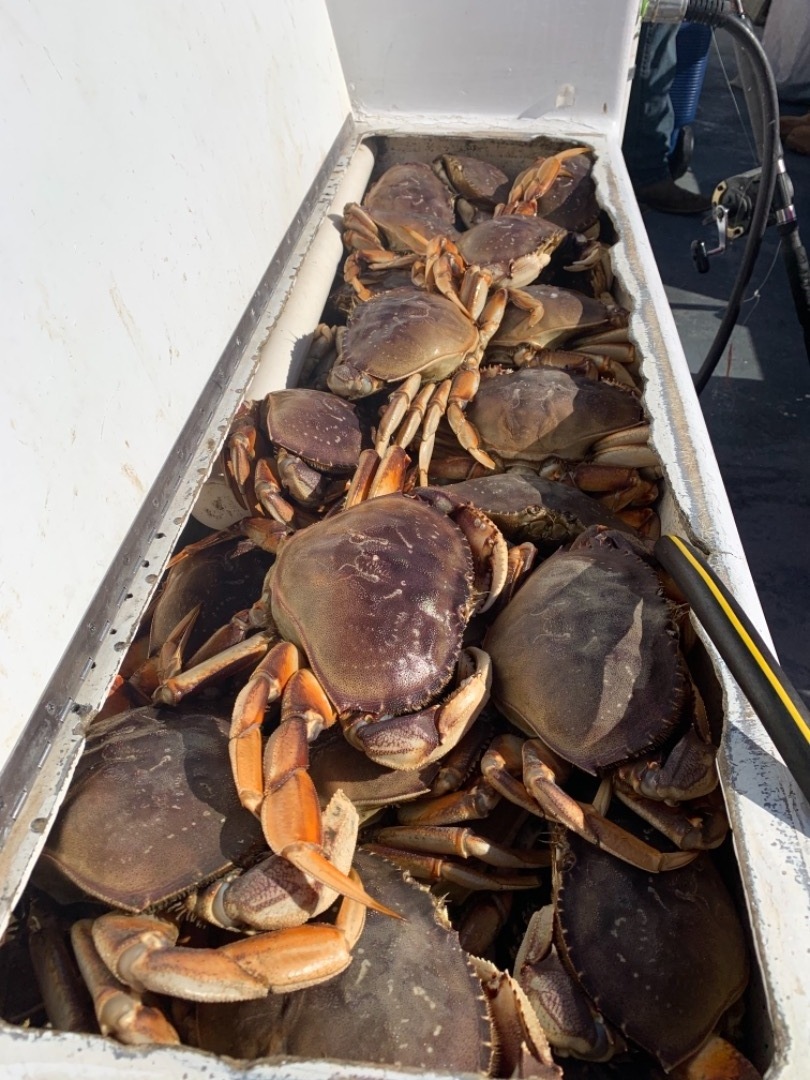 Crab opener was a huge success!!