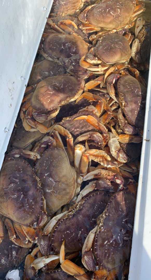 First crab trip!