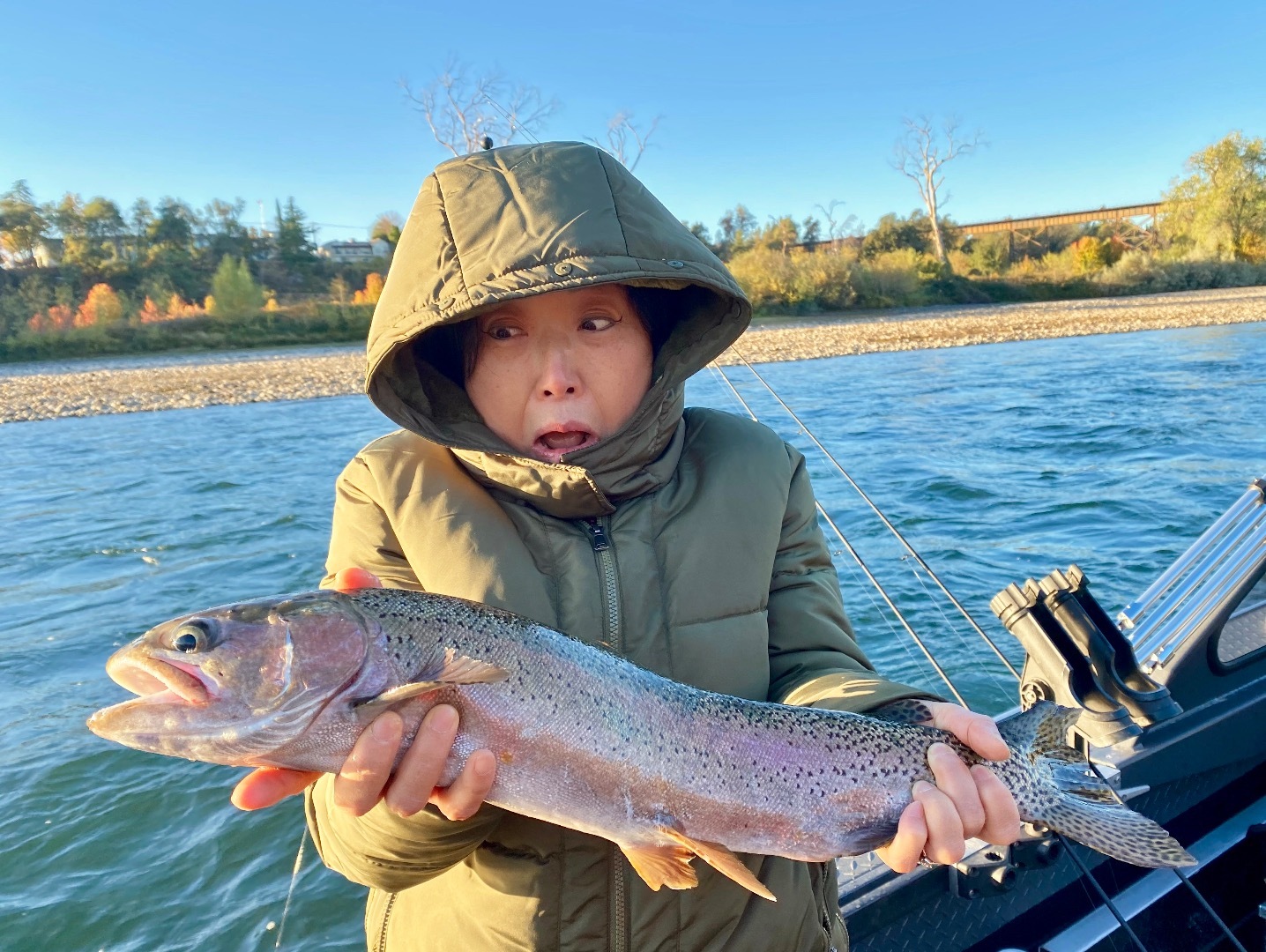 Fishing - Sac River steelhead/trout feasting on salmon eggs!