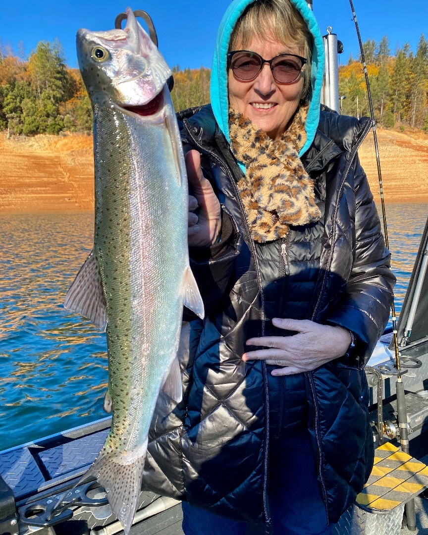 Trout bite was steady on Shasta today!