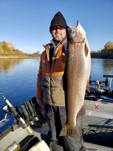 Sac steelhead is the best show in town.