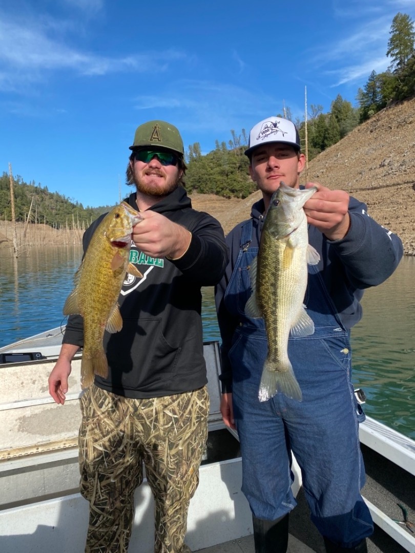 Shasta Lake Fish Report - Shasta Lake, CA (Shasta County)