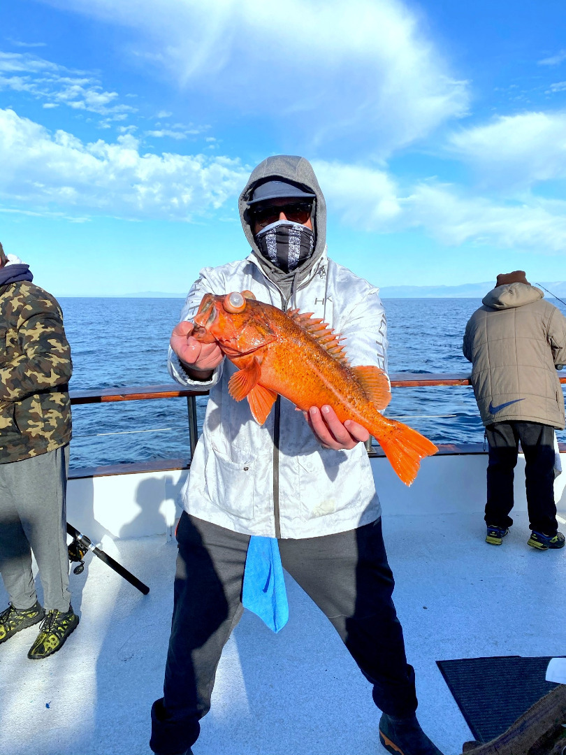 Limits of Rockfish by 9 AM 