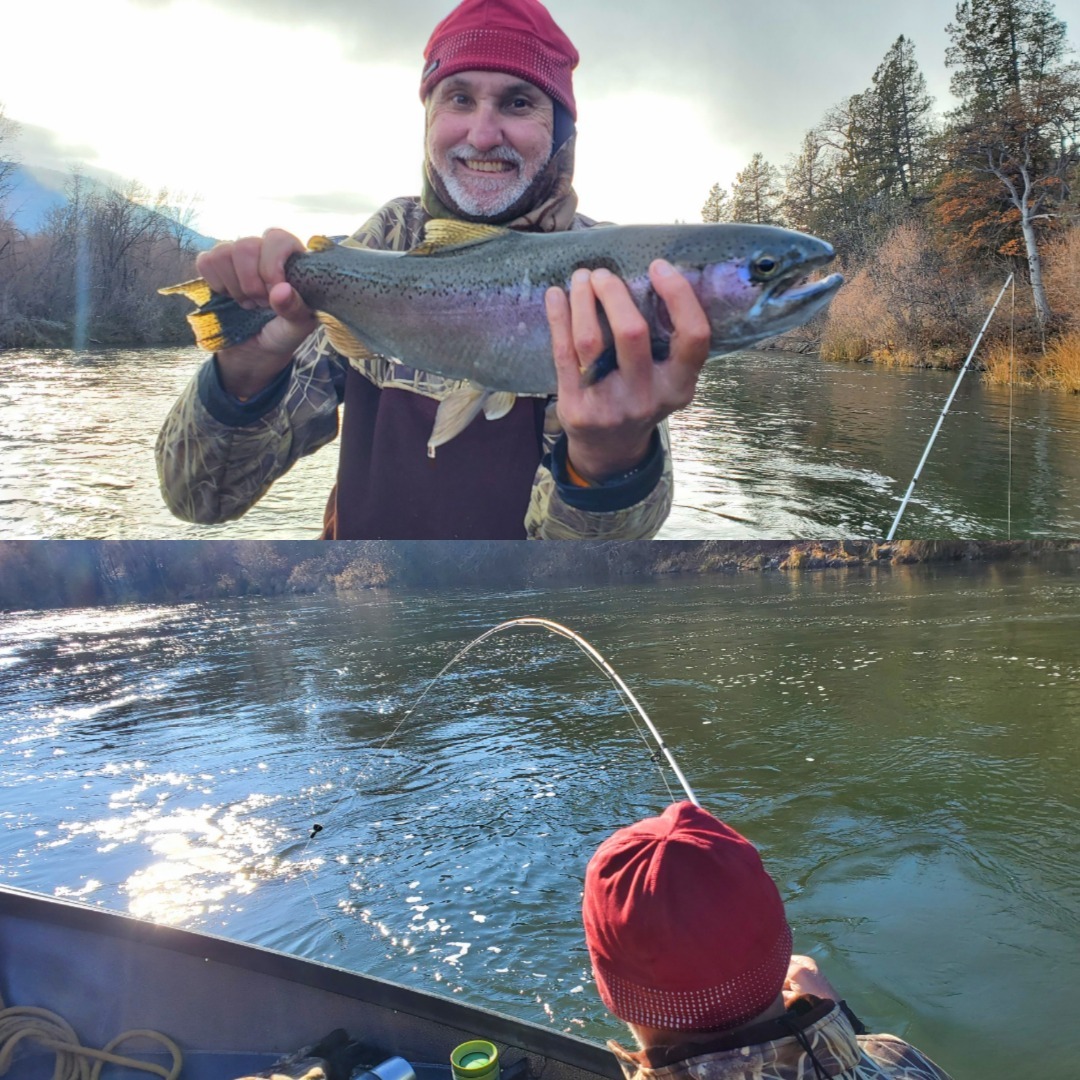 Bent rods and Beautiful fish on the Klamath river
