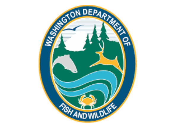 Most of Washington Coast now closed to crab fishing due to marine