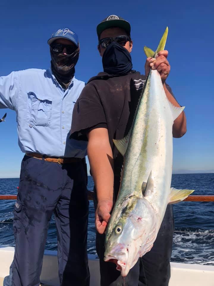 Seaforth Sportfishing Fish Reports