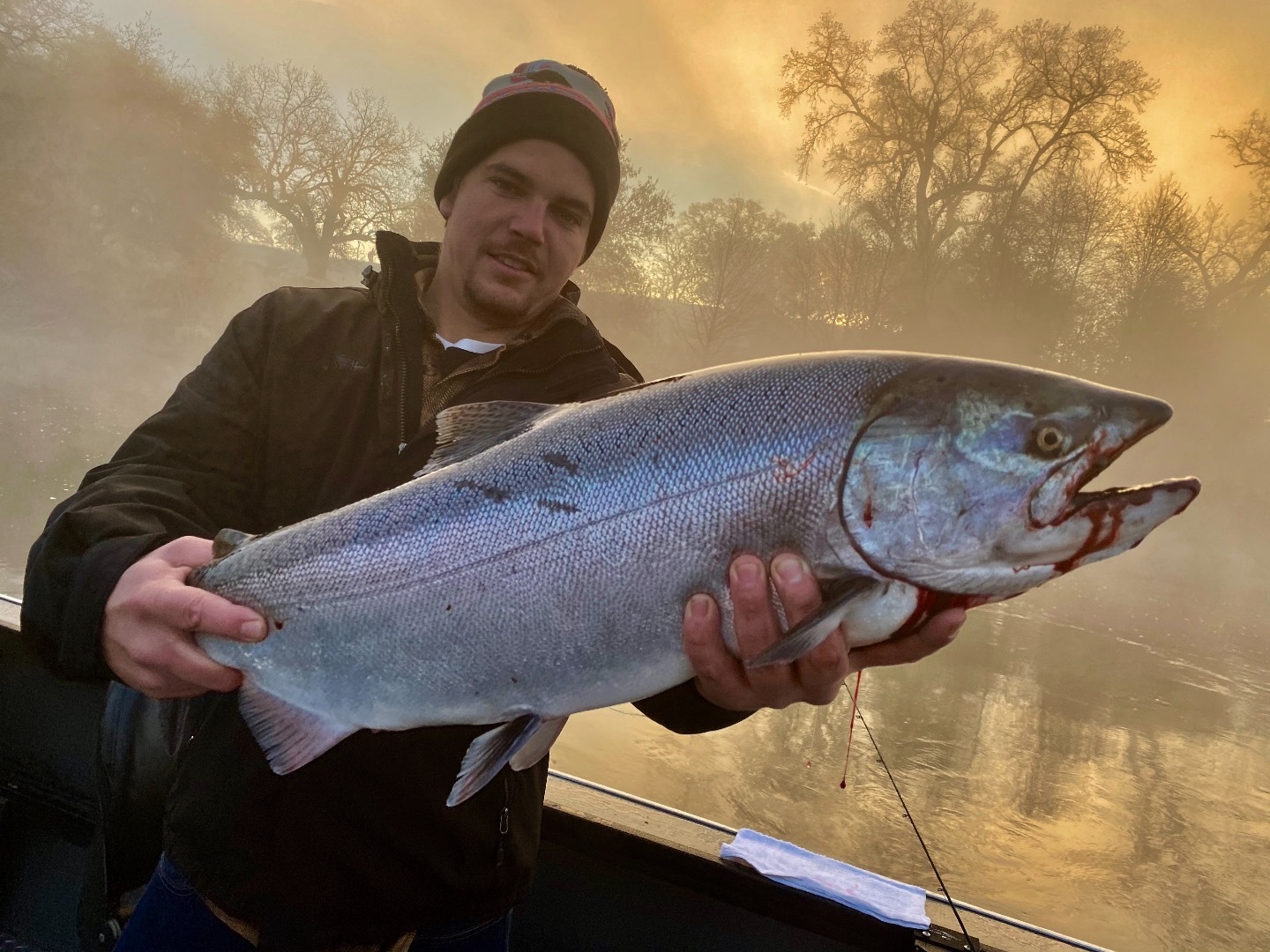 Late fall Kings above Red Bluff