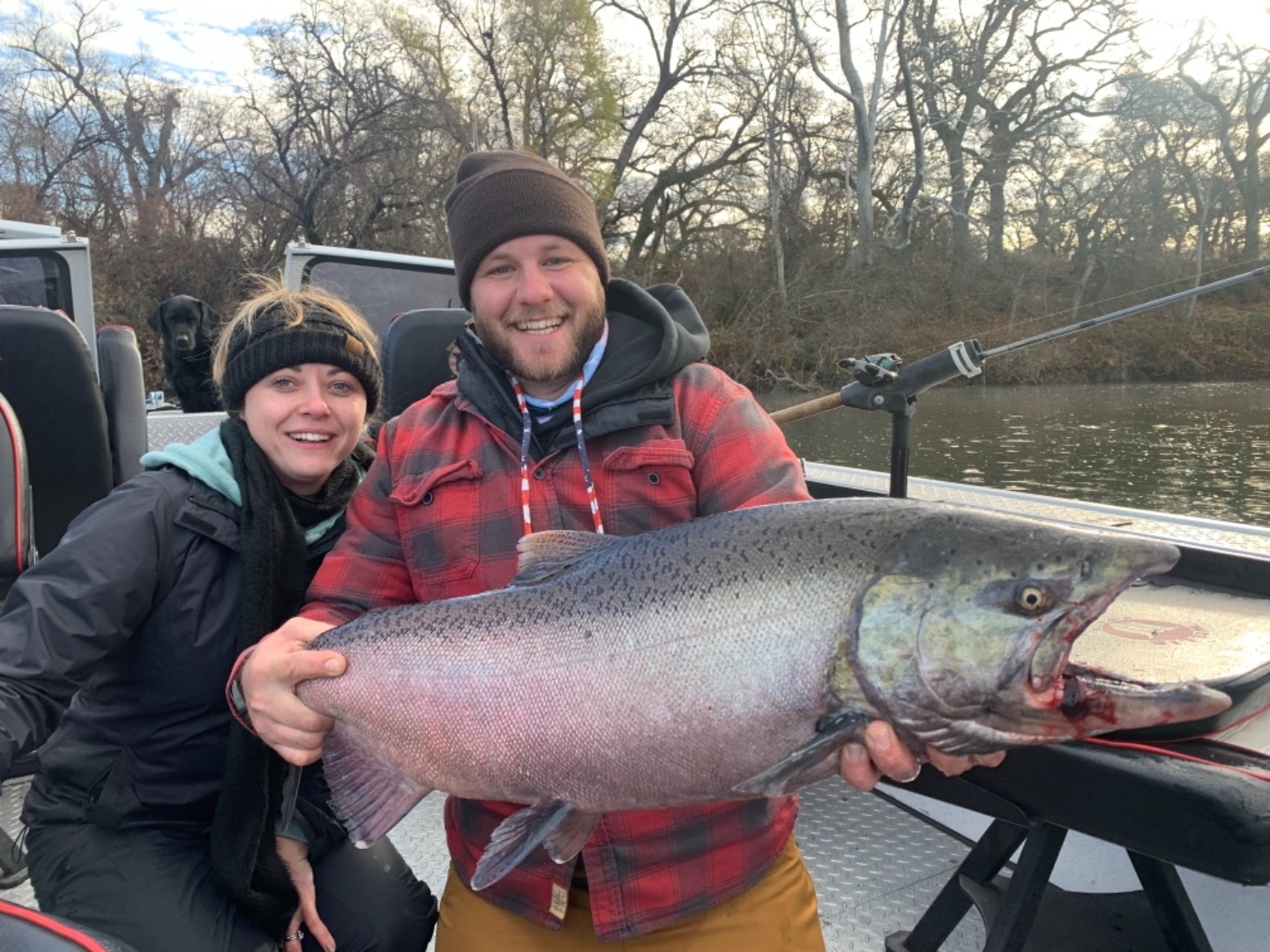 Big king salmon