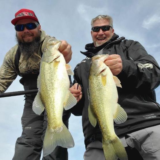 Look for the bait and find the fish in Lake Berryessa