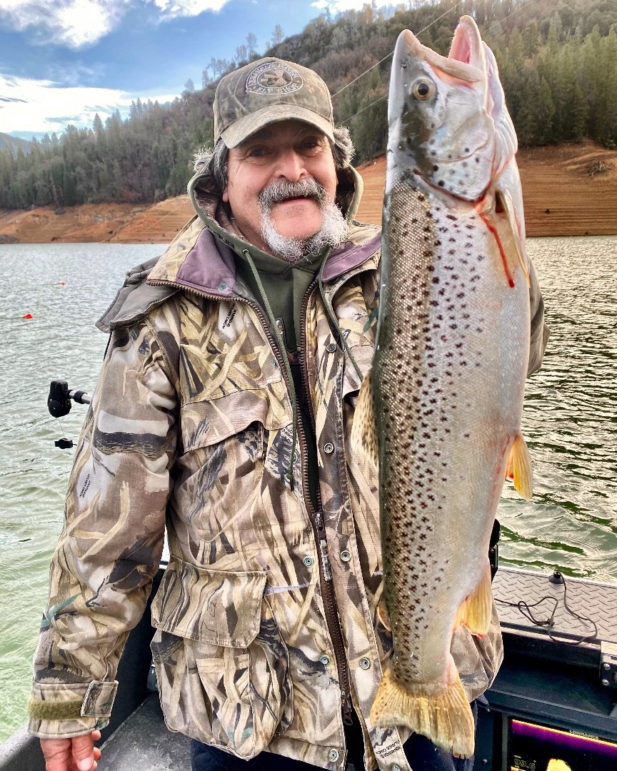 Big browns and rainbows on Shasta Lake!