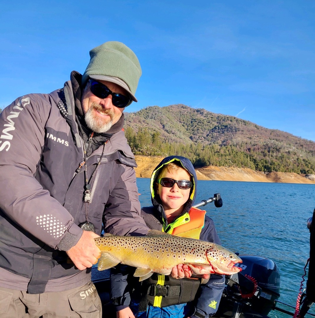 Kokanee salmon in Shasta Lake?