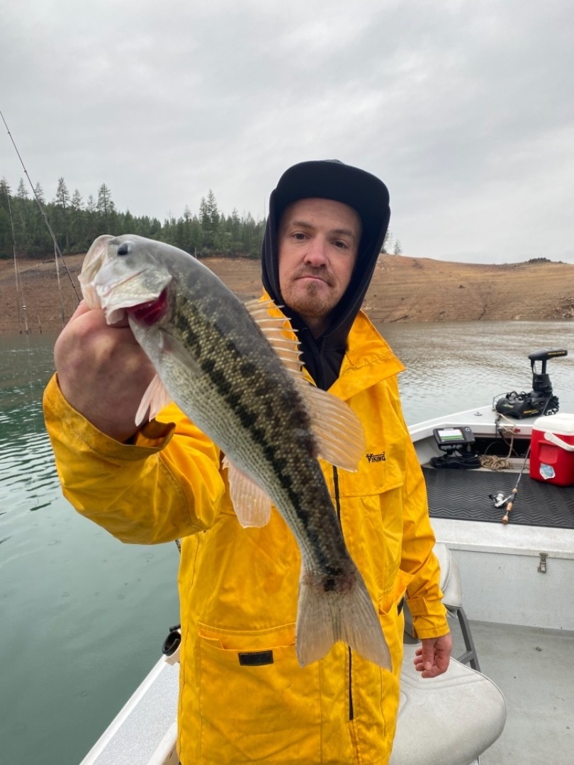 Bass Fishing on Shasta lake