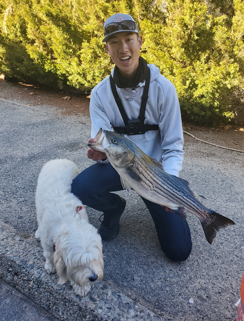 Silverwood Lake Fish Report - Cedarpines Park, CA (San Bernardino County)