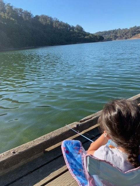 Lake Chabot Report