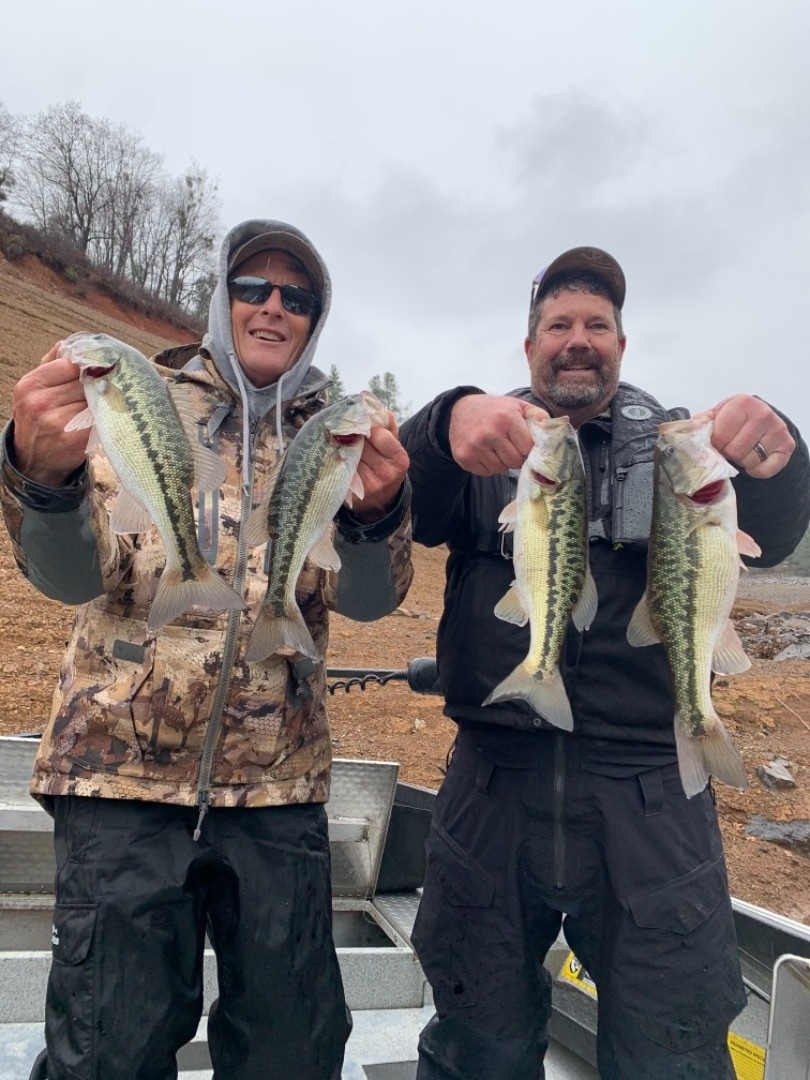   Spotted Bass Lake Shasta 