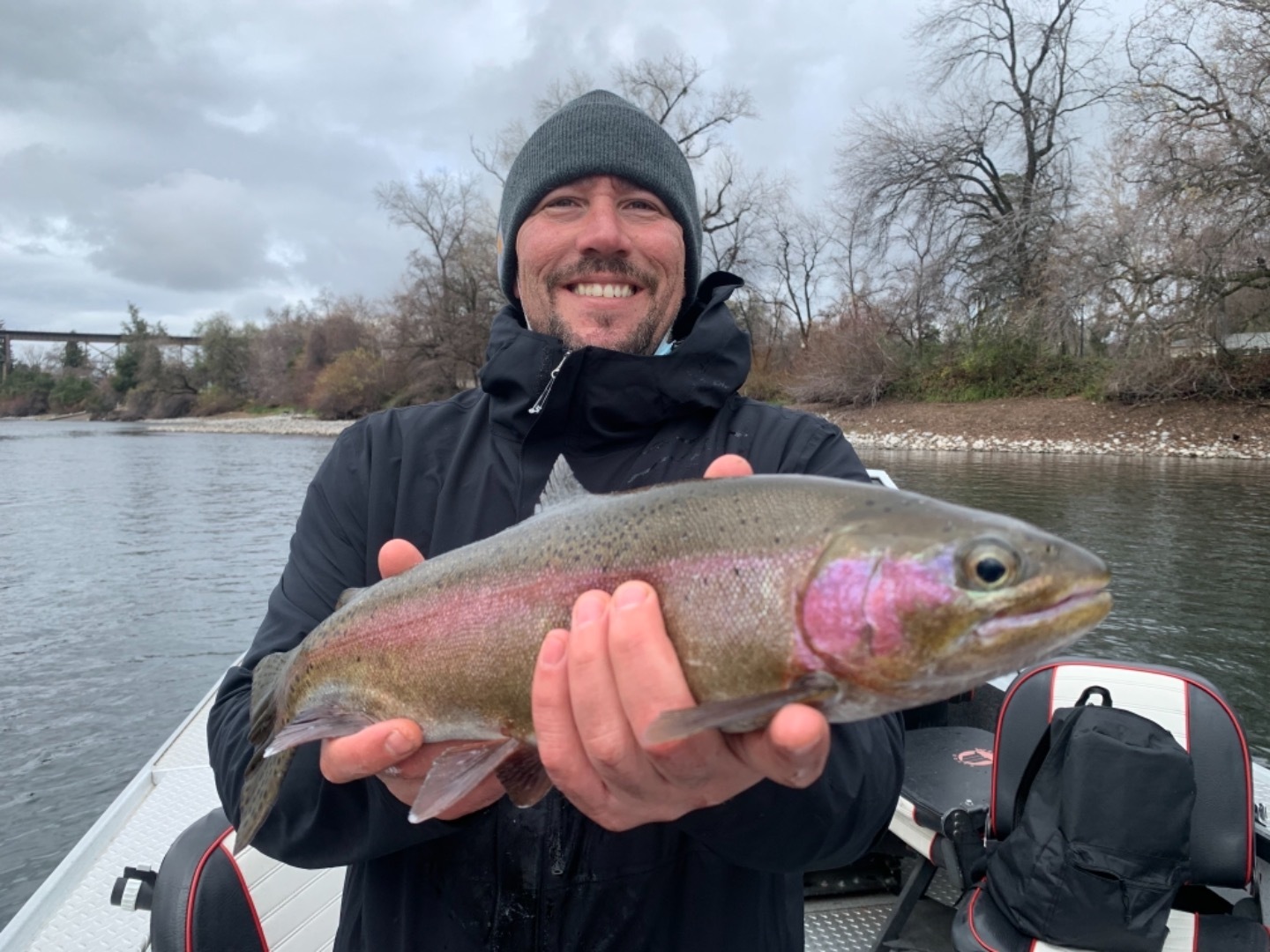 Big Rainbows and Sacramento River Steelhead 