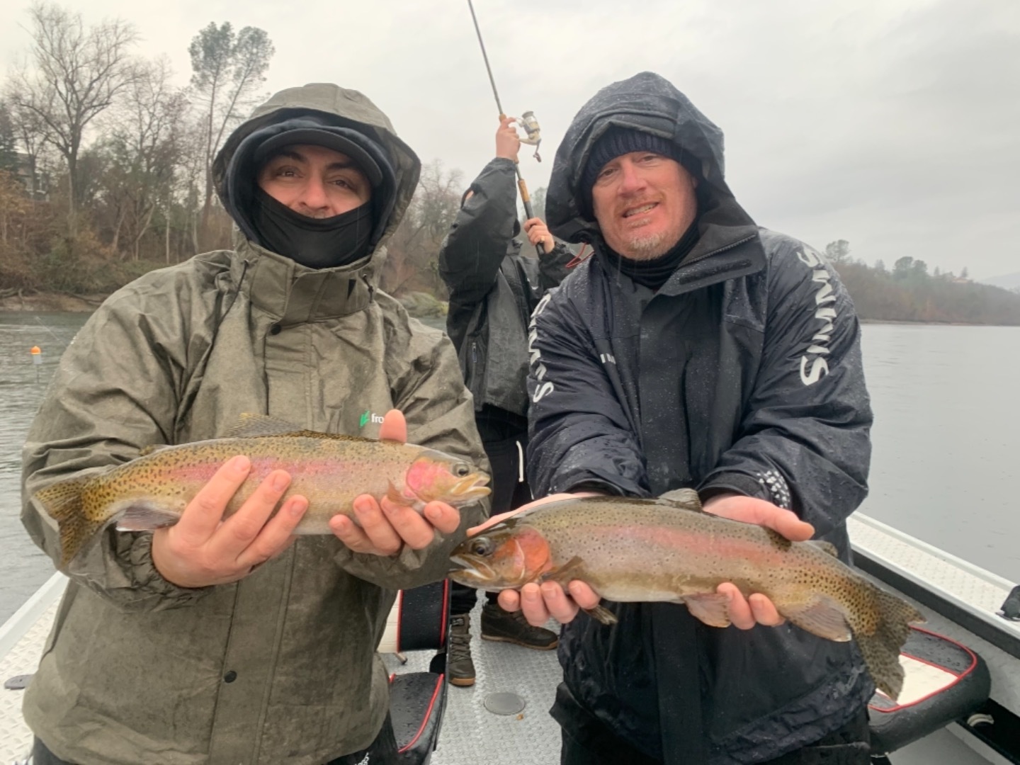 Big Rainbows on the Sacramento River