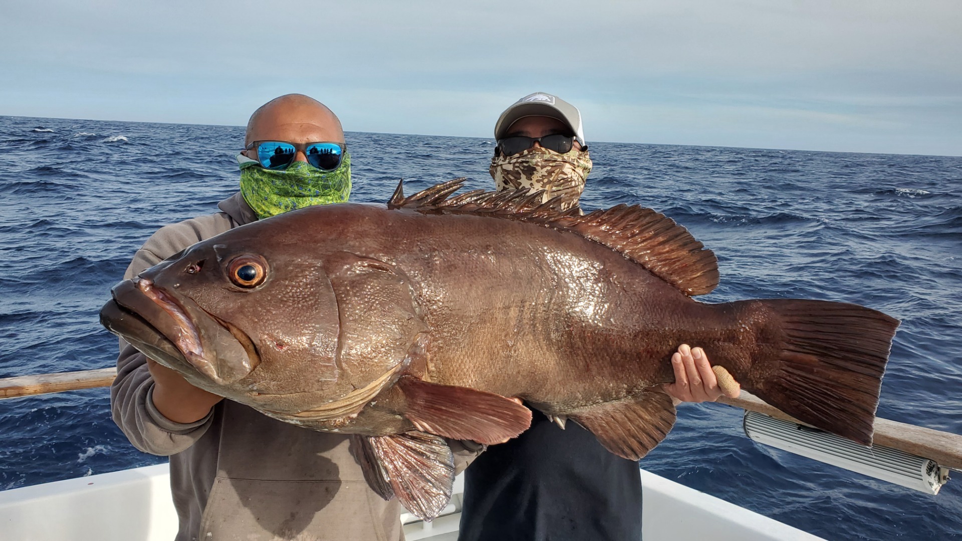 Excel Sportfishing - San Diego, CA