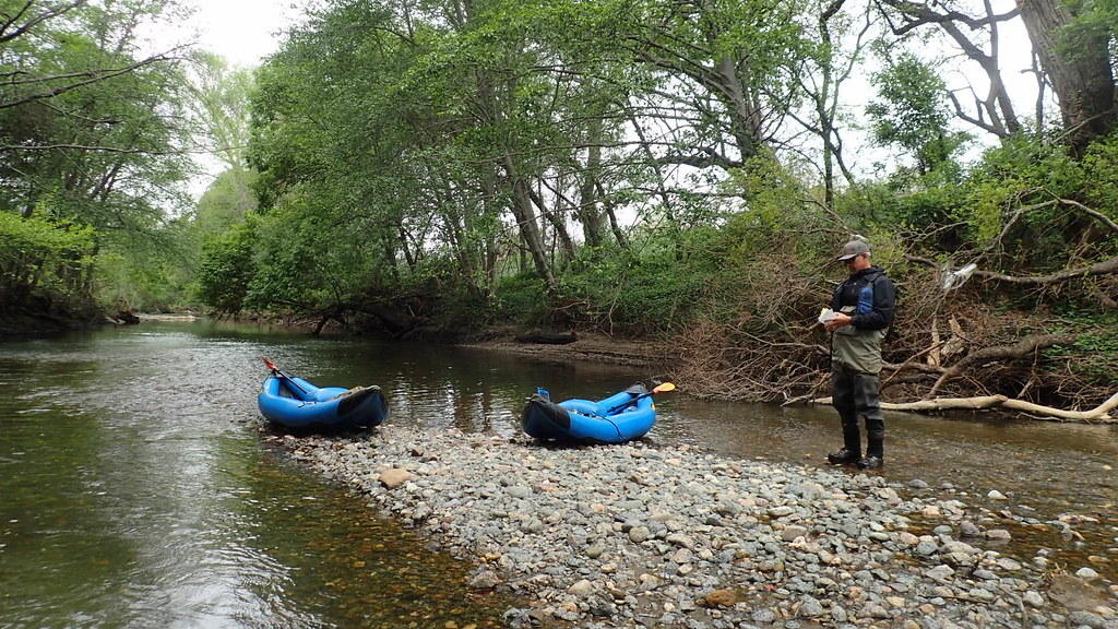 Keeping Tabs on Fish Health in the Calaveras River