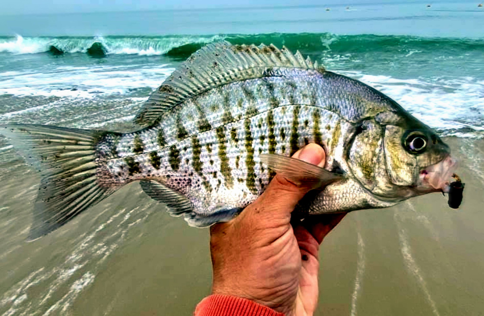 Mother Nature Decided to Give Monterey Bay Anglers A Break This Week