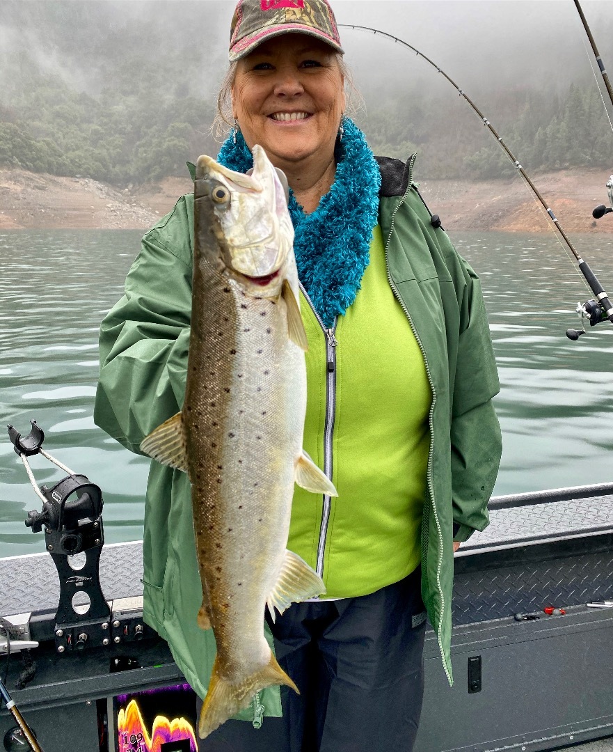 Shasta Lake brown trout time!