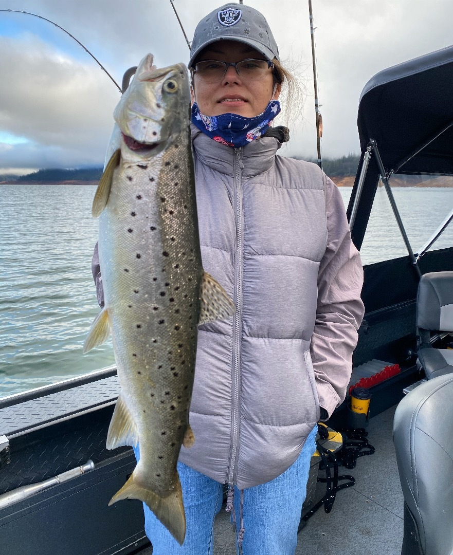 Shasta Lake brown trout bite improves.