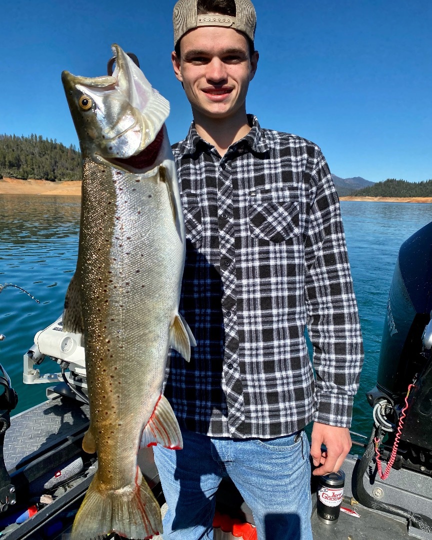 Time for Shasta Lake browns!