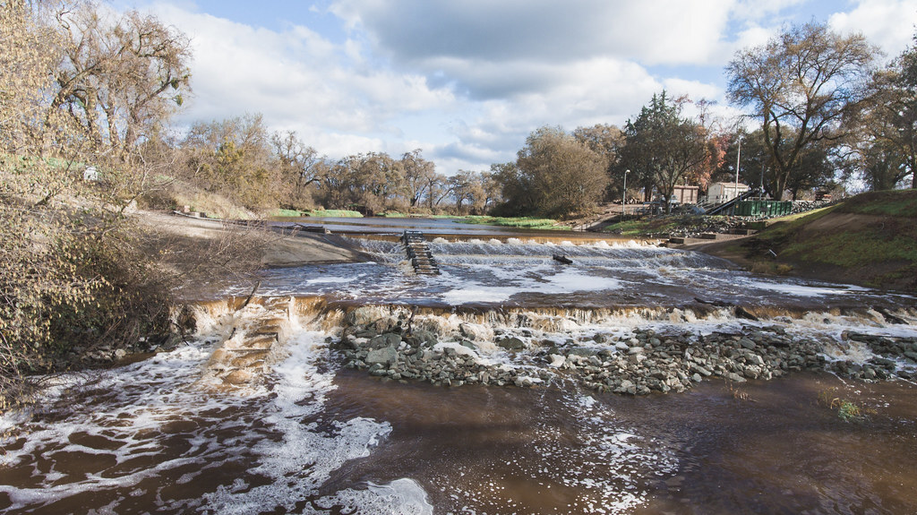 Improving Fish Passage On The Calaveras River