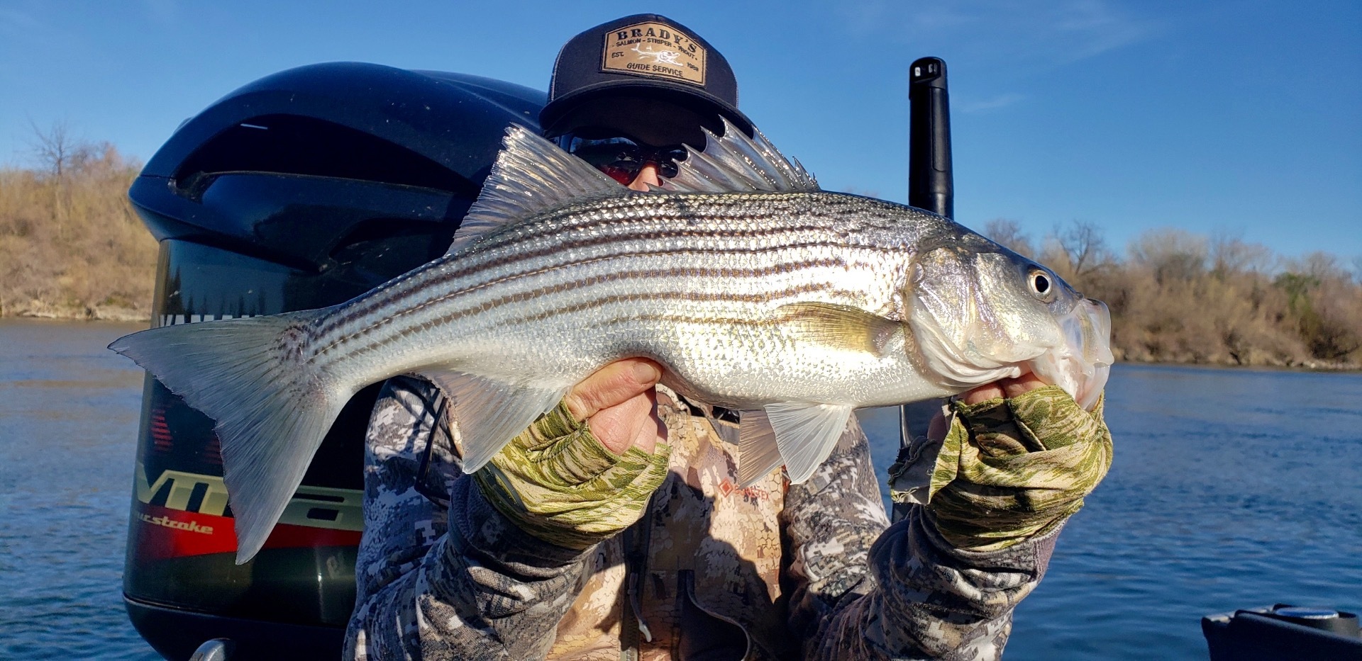 Sacramento River Striped bass!